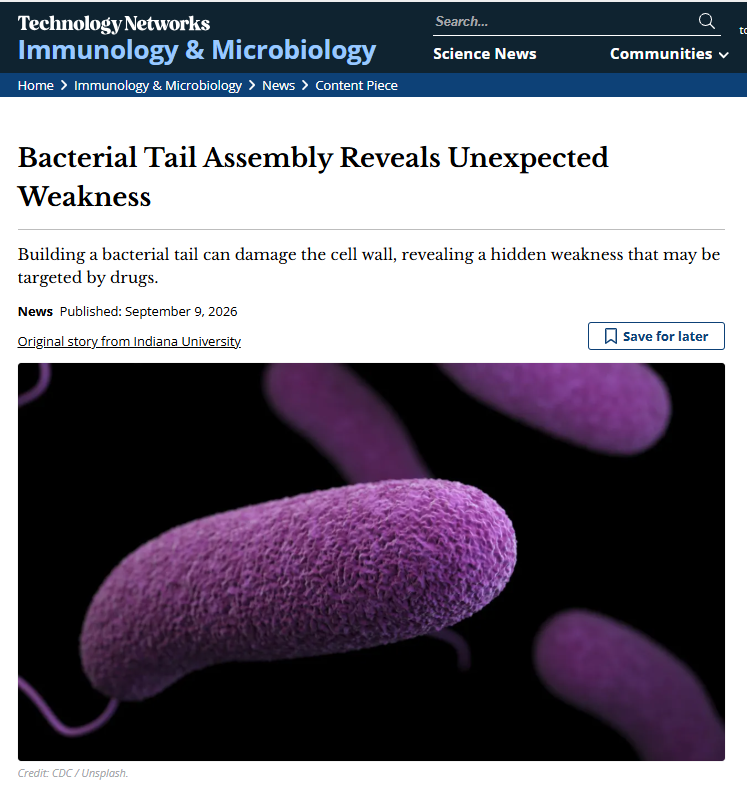 Technology Networks article about bacterial flagellum research
